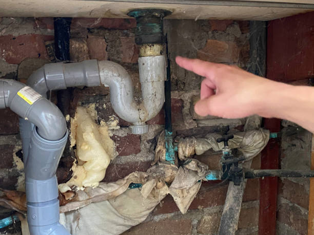 Best Professional water damage repair  in Derma, MS