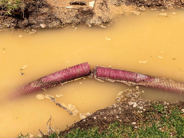Professional Water damage restoration in MS